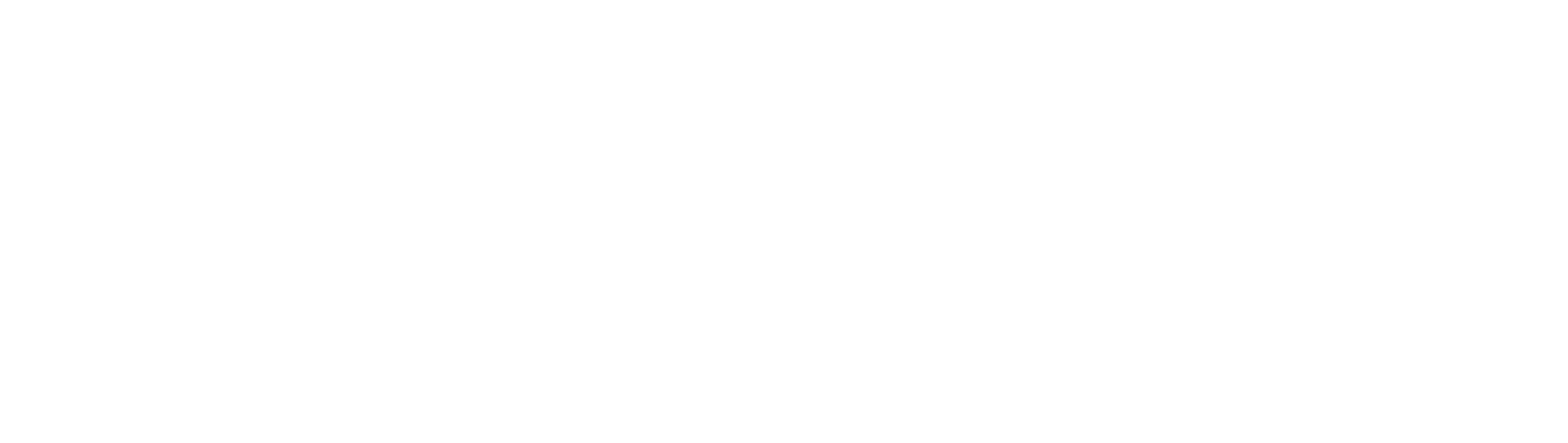 Solvi Software